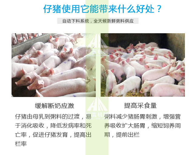 智能喂(wèi)料機(jī) 智能喂料機